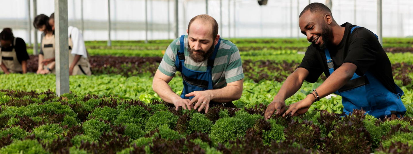 Agriculture